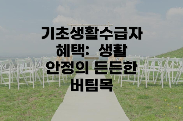 기초생활수급자 혜택:  생활 안정의 든든한 버팀목