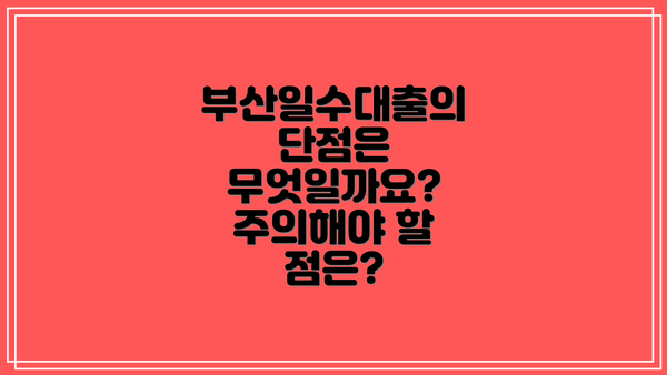 부산일수대출의 단점은 무엇일까요?  주의해야 할 점은?