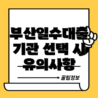 부산일수대출 기관 선택 시 유의사항