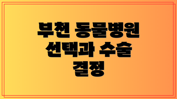 부천 동물병원 선택과 수술 결정