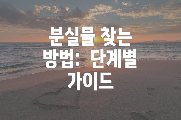 분실물 찾는 방법:  단계별 가이드