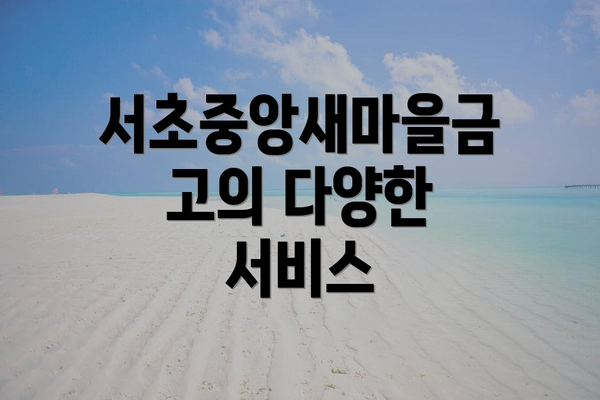 서초중앙새마을금고의 다양한 서비스