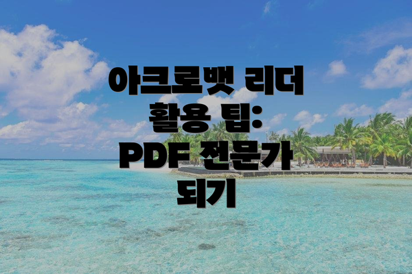 아크로뱃 리더 활용 팁:  PDF 전문가 되기