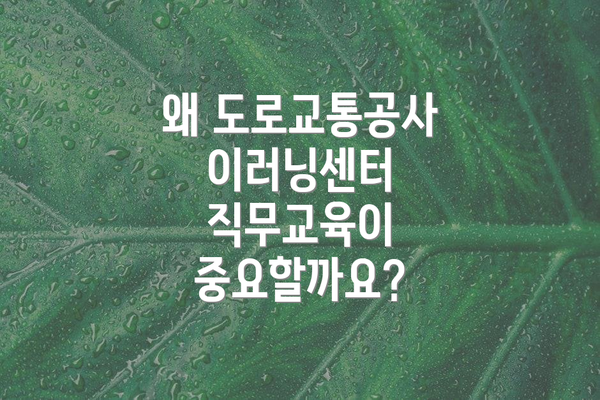 왜 도로교통공사 이러닝센터 직무교육이 중요할까요?