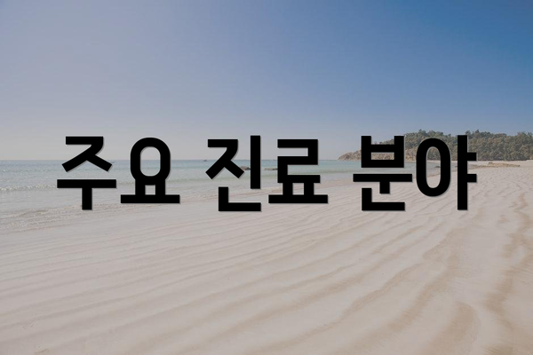 주요 진료 분야