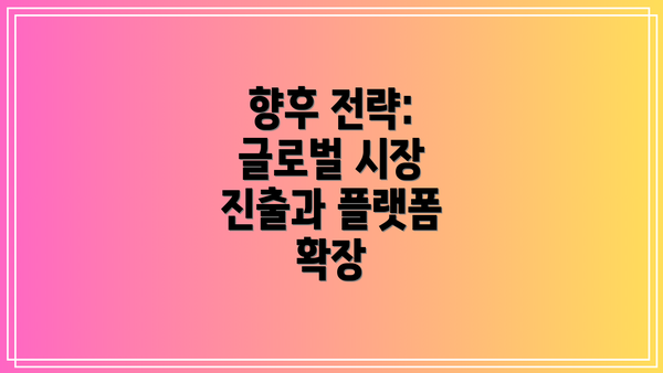 향후 전략: 글로벌 시장 진출과 플랫폼 확장