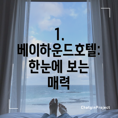 1. 베이하운드호텔: 한눈에 보는 매력