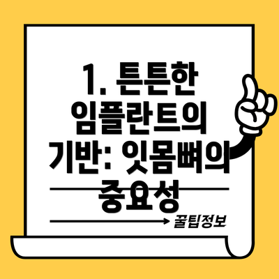1. 튼튼한 임플란트의 기반: 잇몸뼈의 중요성