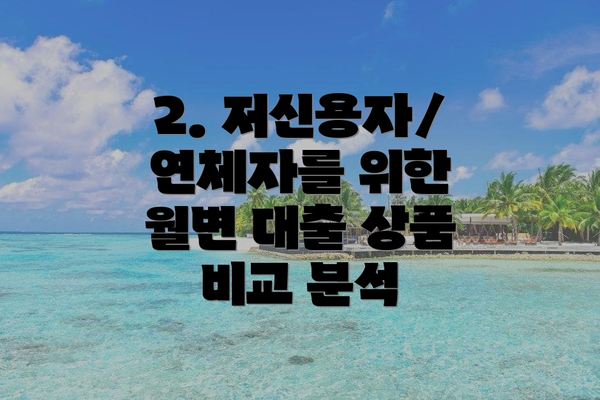 2. 저신용자/연체자를 위한 월변 대출 상품 비교 분석