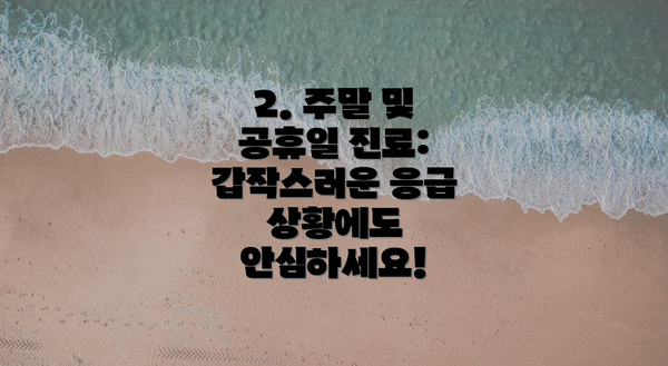 2. 주말 및 공휴일 진료: 갑작스러운 응급 상황에도 안심하세요!