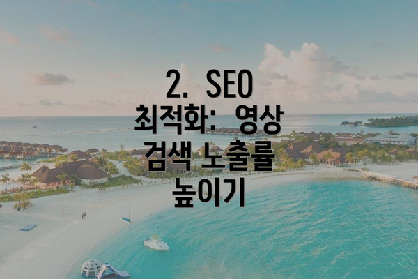 2.  SEO 최적화:  영상 검색 노출률 높이기