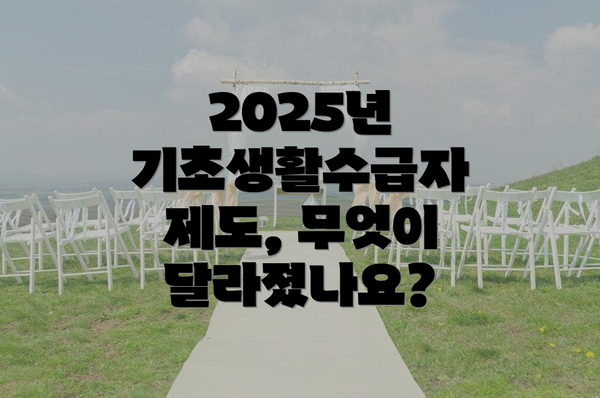 2025년 기초생활수급자 제도, 무엇이 달라졌나요?