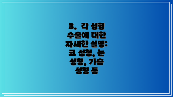 3.  각 성형 수술에 대한 자세한 설명: 코 성형, 눈 성형, 가슴 성형 등