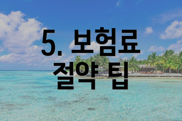 5. 보험료 절약 팁