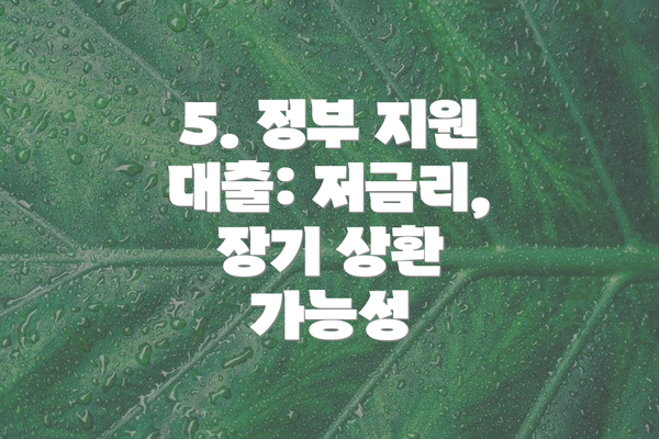 5. 정부 지원 대출: 저금리, 장기 상환 가능성