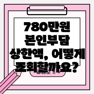 780만원 본인부담 상한액, 어떻게 조회할까요?