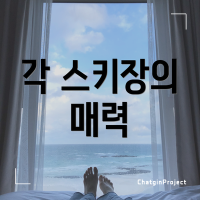 각 스키장의 매력