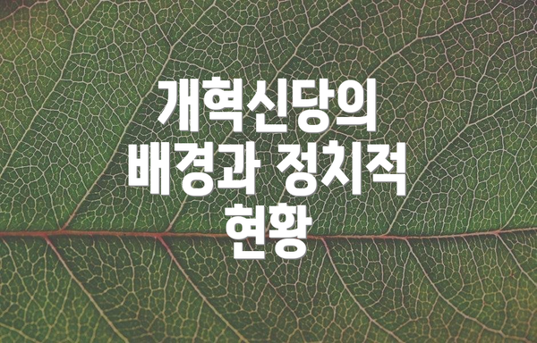 개혁신당의 배경과 정치적 현황