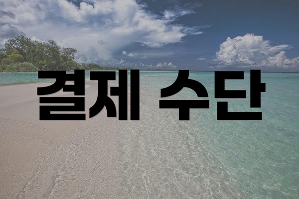 결제 수단
