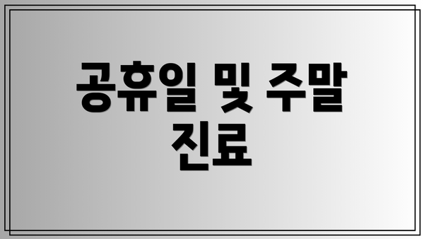 공휴일 및 주말 진료
