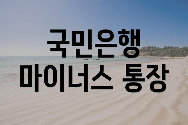 국민은행 마이너스 통장