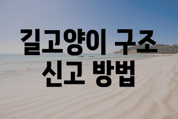 길고양이 구조 신고 방법