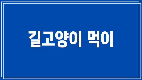 길고양이 먹이