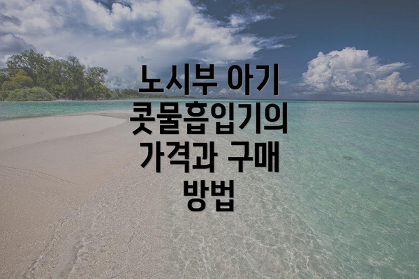 노시부 아기 콧물흡입기의 가격과 구매 방법