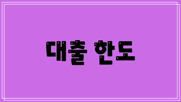 대출 한도