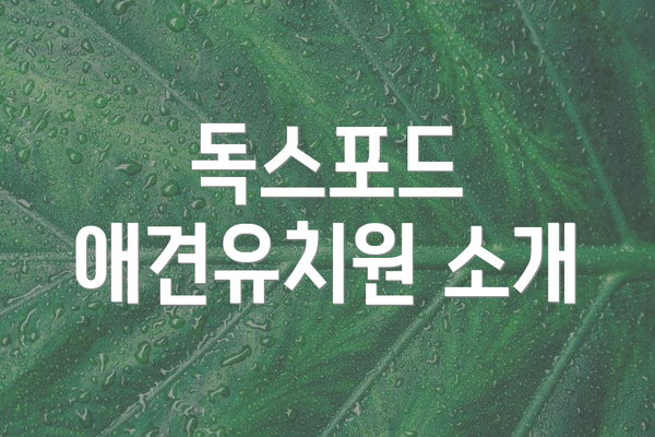 독스포드 애견유치원 소개