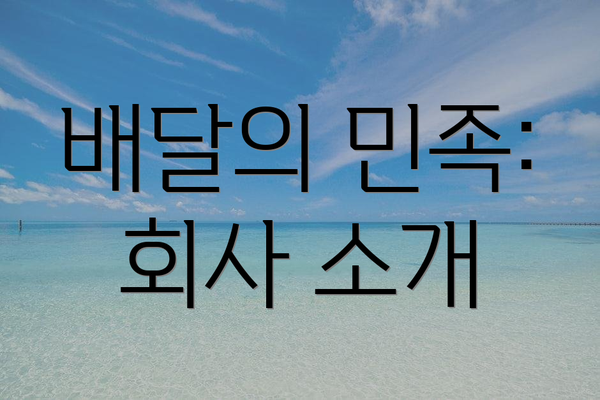 배달의 민족: 회사 소개