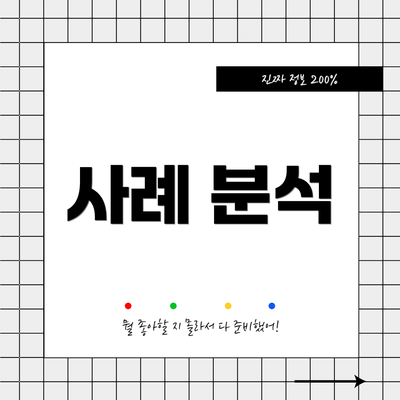 사례 분석