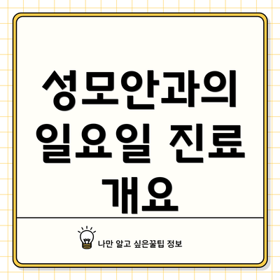 성모안과의 일요일 진료 개요