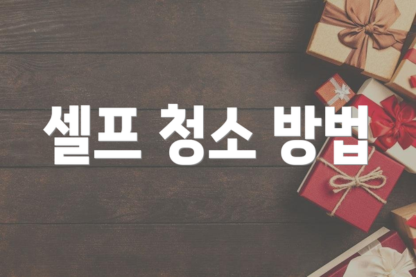 셀프 청소 방법