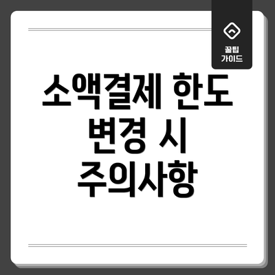 소액결제 한도 변경 시 주의사항