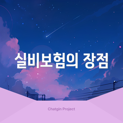 실비보험의 장점
