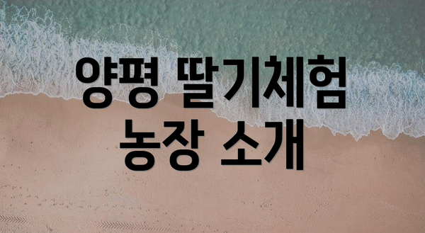 양평 딸기체험 농장 소개