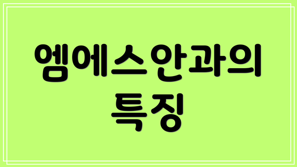 엠에스안과의 특징