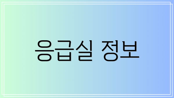 응급실 정보