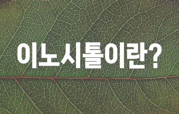 이노시톨이란?