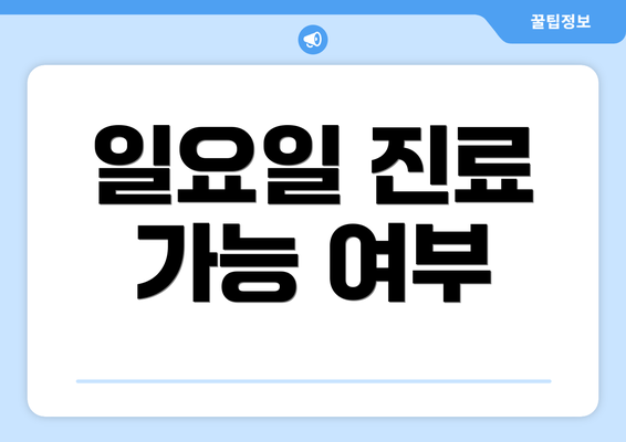 일요일 진료 가능 여부