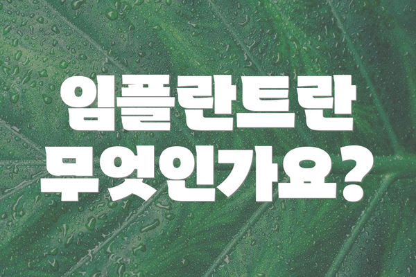 임플란트란 무엇인가요?
