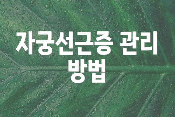 자궁선근증 관리 방법