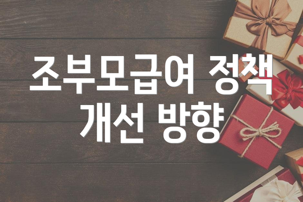 조부모급여 정책 개선 방향