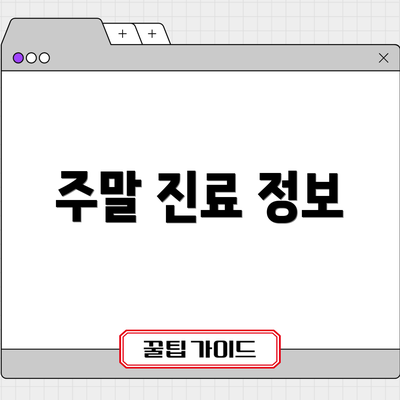 주말 진료 정보