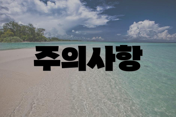 주의사항