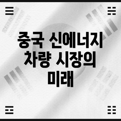 중국 신에너지 차량 시장의 미래