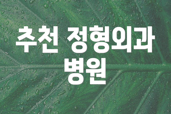 추천 정형외과 병원
