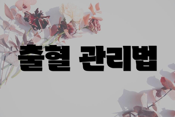 출혈 관리법