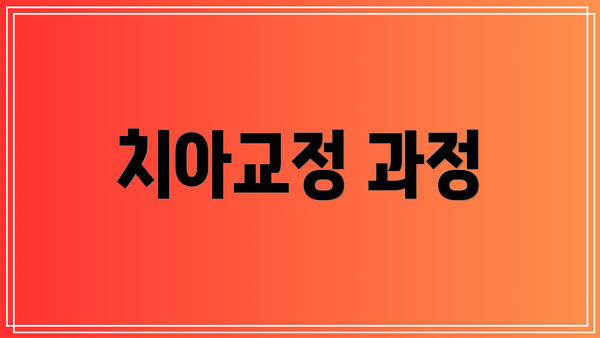 치아교정 과정
